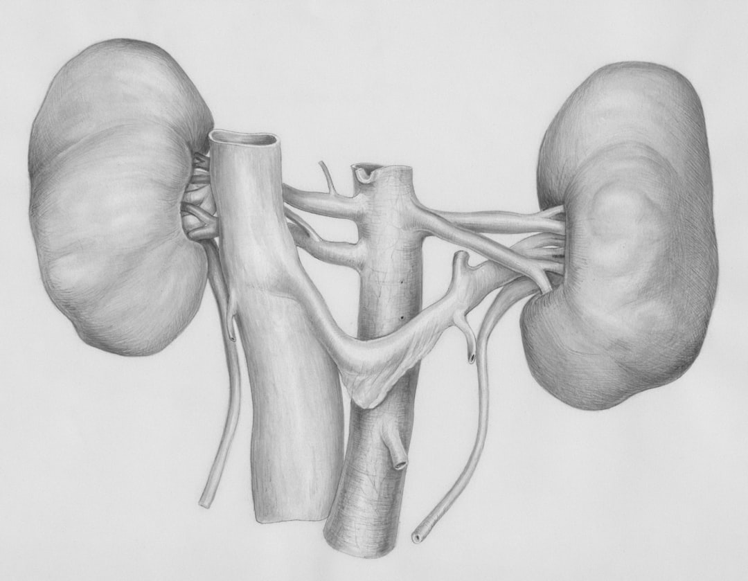 historical anatomy illustrations
