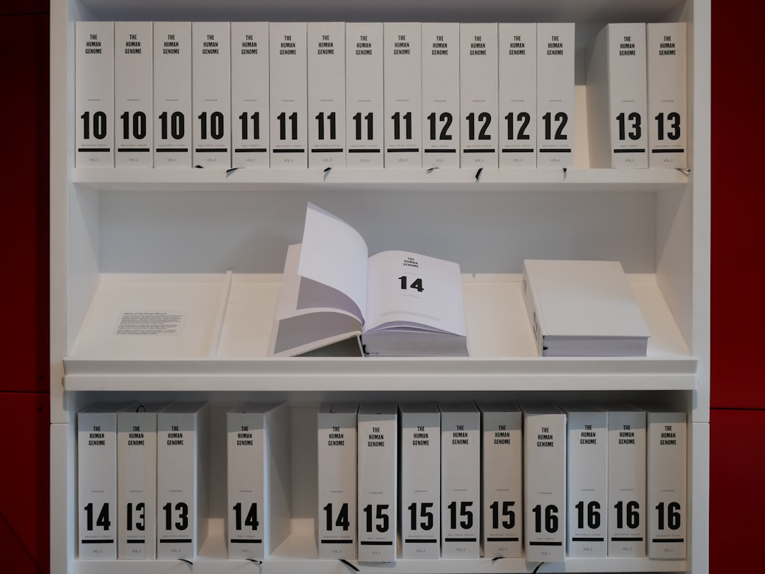 person organizing spreadsheets